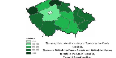 Česko lesy mapa